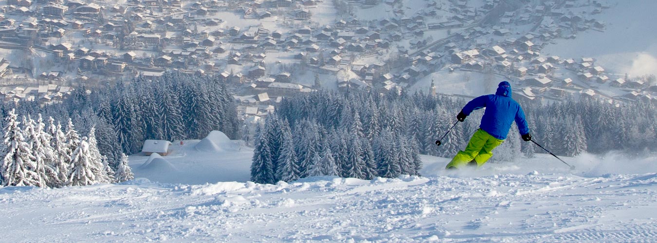 Image of Winter - Skiing